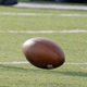 Illustration for article titled Cops: Substitute Teacher Gave H.S. Footballer Oral Sex During Pep Rally